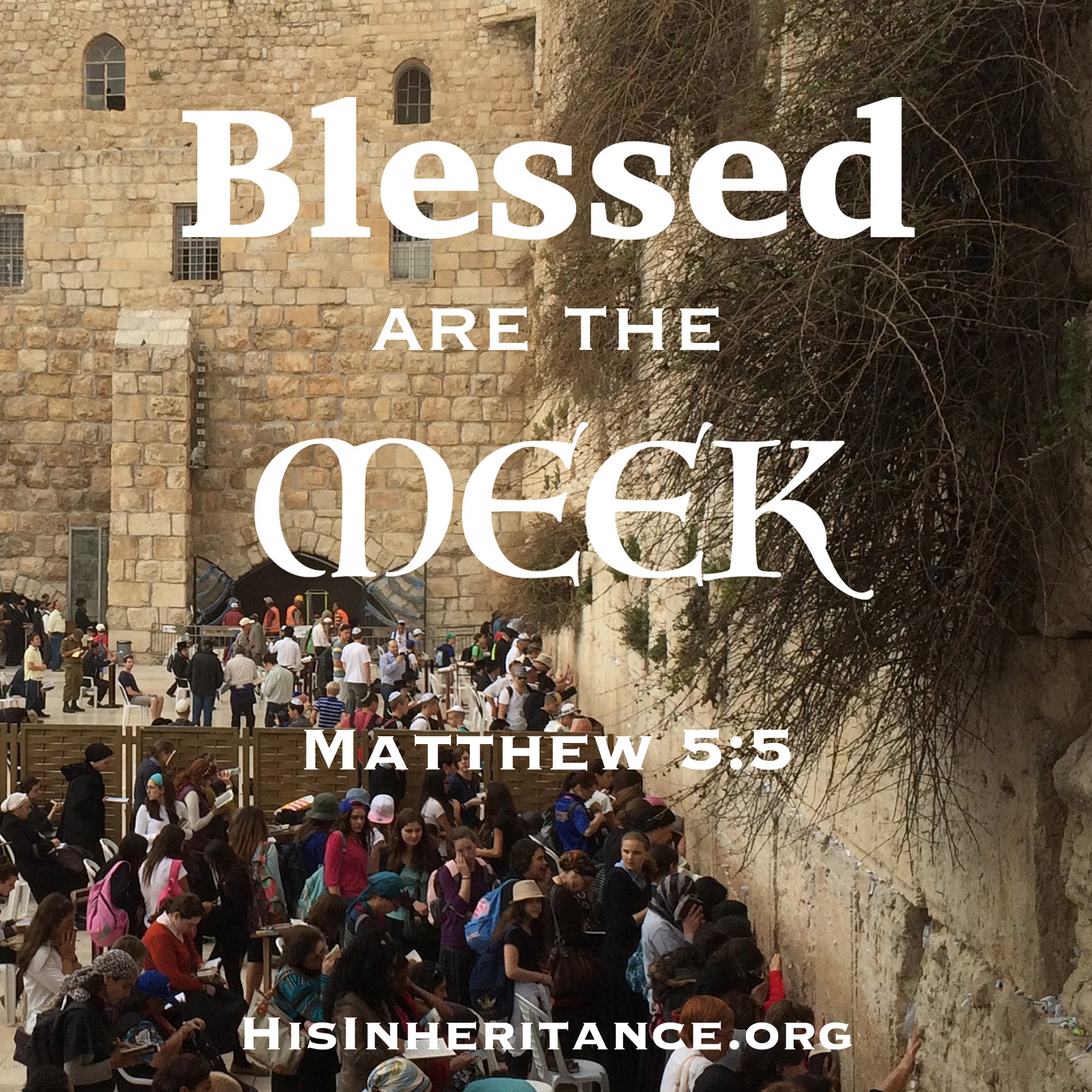BlessMeek5